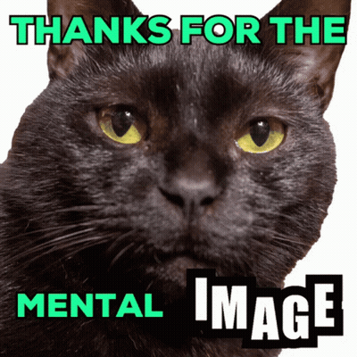 A Black Cat With Yellow Eyes And The Words Thanks For The Mental Image GIF