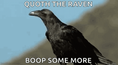 A Black Crow Is Sitting On Top Of A Hill With A Blue Sky In The Background . GIF