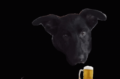A Black Dog Drinking From A Mug With Its Tongue Out GIF