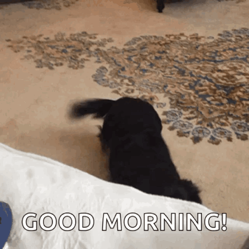 A Black Dog Is Laying On A Pillow With The Words Good Morning Written On The Bottom GIF