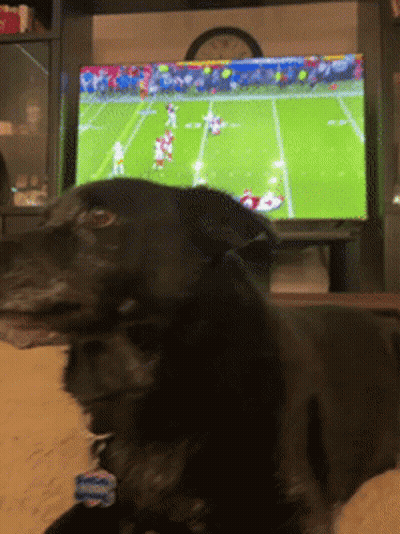 A Black Dog Is Laying On The Floor In Front Of A Television Watching A Football Game GIF