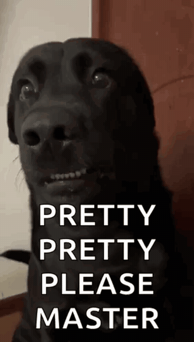 A Black Dog Is Looking At The Camera With The Words `` Pretty Pretty Please Master '' Written Above It . GIF