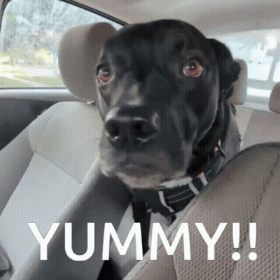 A Black Dog Is Sitting In The Back Seat Of A Car With The Word Yummy Written On The Bottom GIF