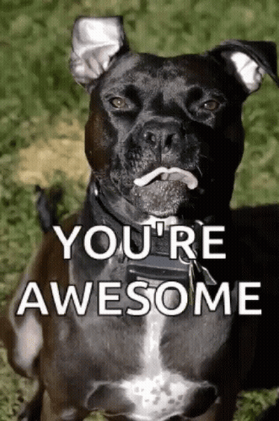 A Black Dog With A Tongue Sticking Out And The Words " You 'Re Awesome " Behind It GIF
