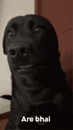 A Black Dog With The Words Are Bhai On The Bottom Right GIF