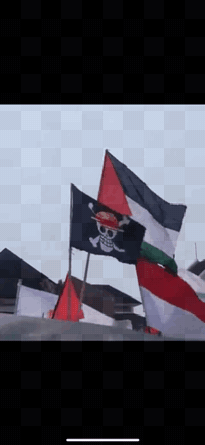 A Black Flag With A Skull And Crossbones On It GIF