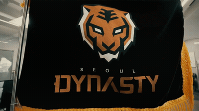 A Black Flag With A Tiger Head And The Word Dynasty On It GIF