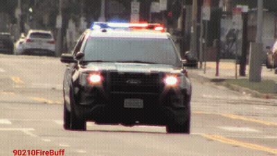 A Black Ford Police Car Is Driving Down A Street With A License Plate That Says Eh6093 GIF