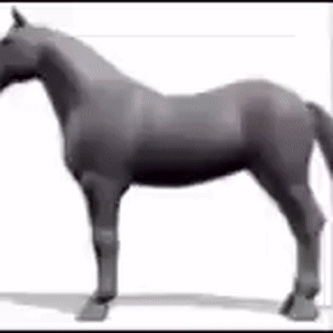A Black Horse Is Standing On Its Hind Legs On A White Surface . GIF