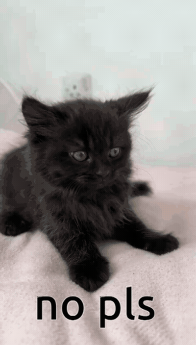 A Black Kitten Is Laying On A White Blanket With The Words No Pls Written Below It GIF