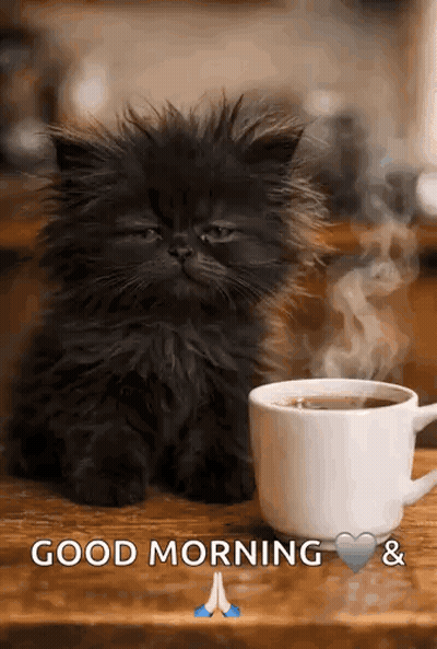 A Black Kitten Is Sitting Next To A Cup Of Coffee On A Wooden Table . GIF
