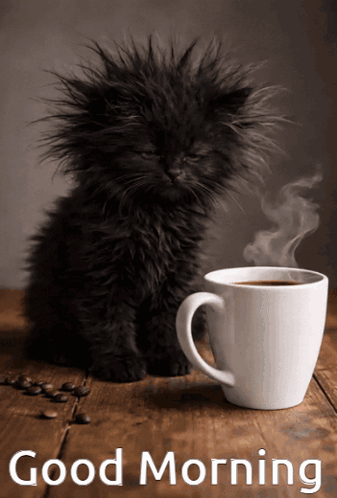 A Black Kitten Sits Next To A Cup Of Coffee With The Words Good Morning Written On The Bottom GIF