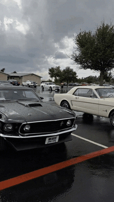 A Black Mustang Is Parked Next To A White Mustang In The Rain GIF