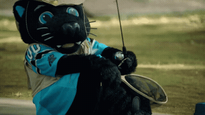 A Black Panther Mascot Is Holding A Fishing Rod And Net GIF