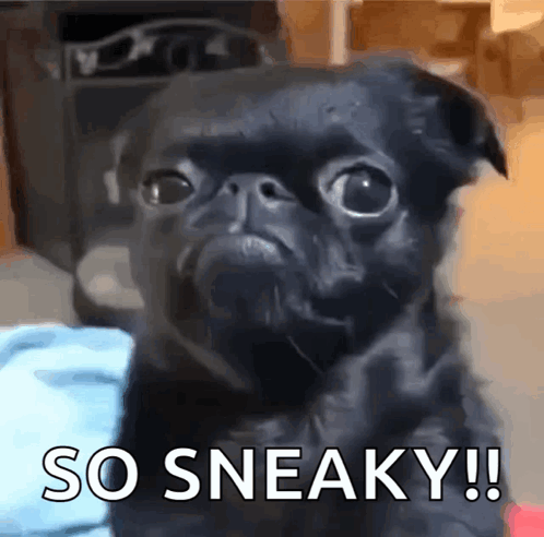 A Black Pug Dog With The Words So Sneaky Written On The Bottom GIF