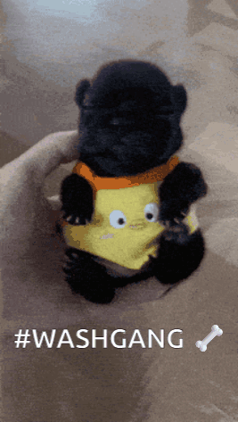 A Black Puppy Wearing A Yellow Shirt With Googly Eyes Is Being Held In Someone 'S Hand With The Hashtag #Washgang GIF