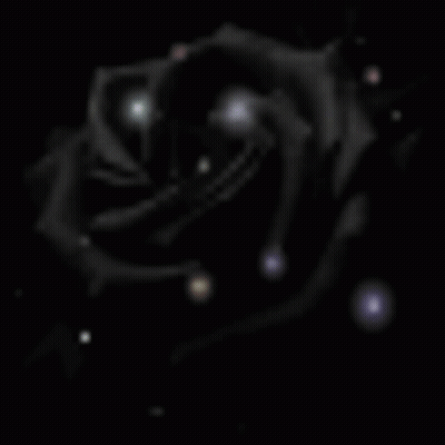 A Black Rose Is Surrounded By Glowing Lights In The Dark GIF