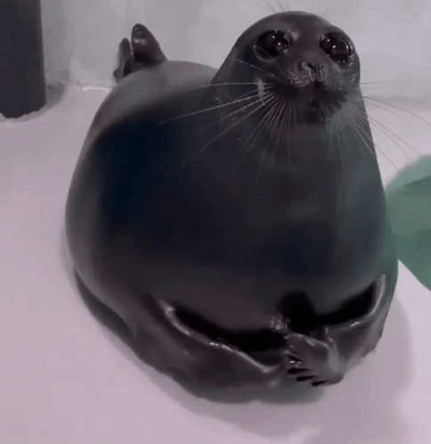 A Black Seal Is Laying On A White Surface GIF