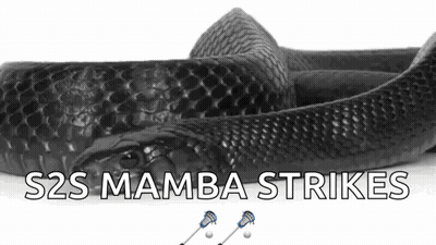 A Black Snake With The Words S2s Mamba Strikes Written Below It GIF