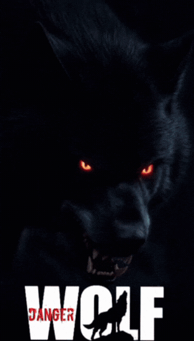 A Black Wolf With Red Eyes Is On A Poster That Says Wolf GIF