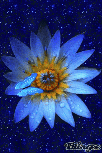 A Blingee Image Of A Blue Flower With Water Drops GIF
