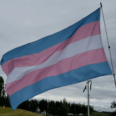A Blue And Pink Striped Flag Flies In The Wind GIF