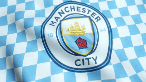 A Blue And White Checkered Shirt With Manchester City On It GIF