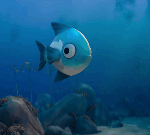A Blue And White Fish Swimming In The Ocean GIF
