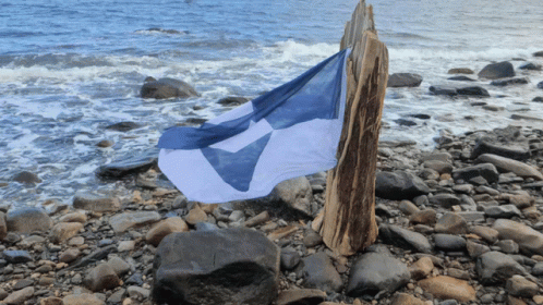 A Blue And White Flag On A Rocky Beach Near The Ocean GIF