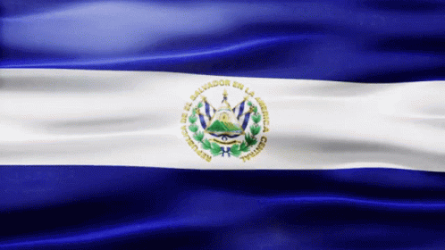 A Blue And White Flag That Says Salvador En La America GIF