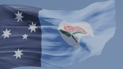 A Blue And White Flag With White Stars And A Pink Flower On It GIF