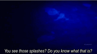 A Blue Background With The Words " You See Those Splashes Do You Know What That Is " On It GIF