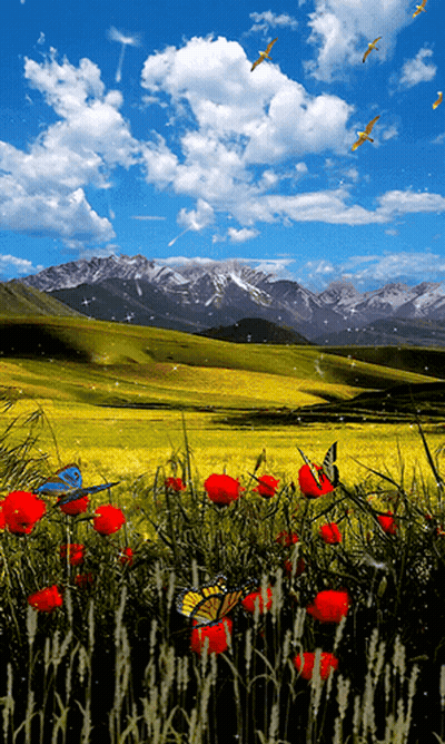 A Blue Bird Sits In A Field Of Red Flowers GIF