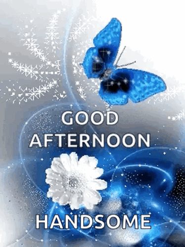 A Blue Butterfly Is Flying Over A White Flower With The Words `` Good Afternoon Handsome '' Below It . GIF