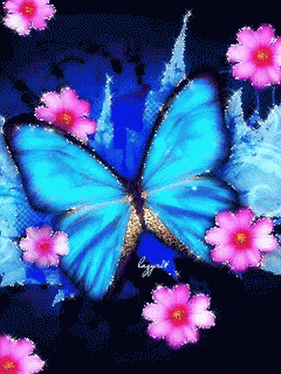 A Blue Butterfly Is Surrounded By Pink Flowers On A Black Background And The Butterfly 'S Wings Are Visible GIF