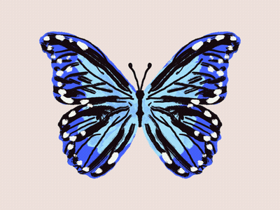 A Blue Butterfly With White Spots On The Wings GIF