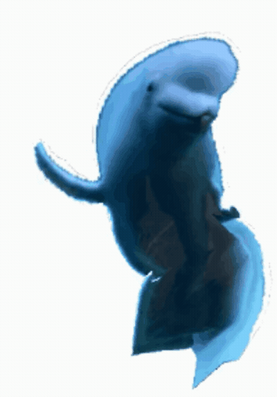 A Blue Dolphin Is Swimming In The Water And Looking At The Camera GIF