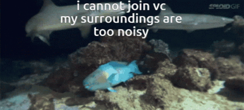 A Blue Fish Is Swimming In The Ocean With A Shark Behind It And The Words " I Cannot Join Vc " GIF