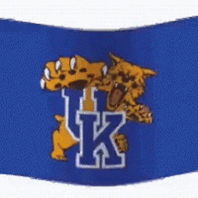 A Blue Flag With A Picture Of A Tiger And The Letter K On It GIF
