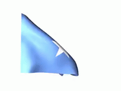 A Blue Flag With A White Star In The Middle GIF