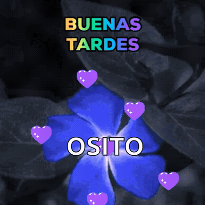 A Blue Flower Is Surrounded By Purple Hearts And The Words Osito GIF