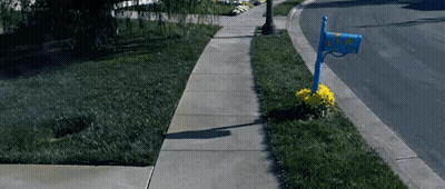 A Blue Mailbox On The Side Of A Sidewalk With A Yellow Flower GIF