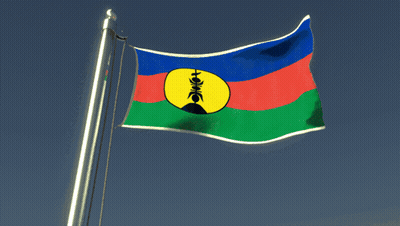 A Blue Red And Green Flag With A Yellow Circle With The Letter H On It GIF