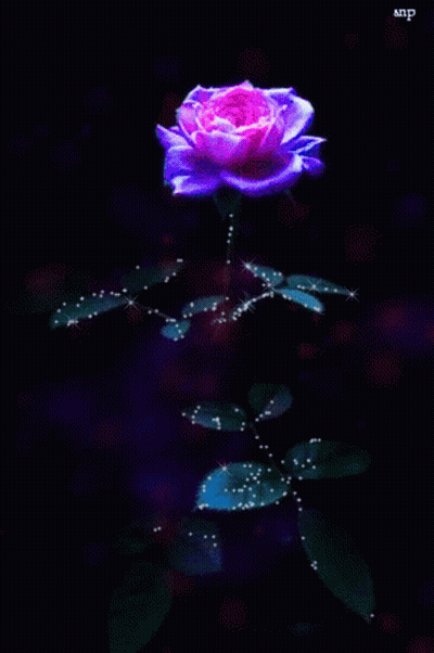 A Blue Rose Is Glowing In The Dark With Sparkles On The Leaves GIF