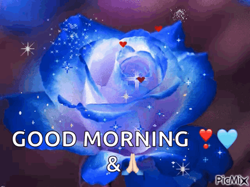 A Blue Rose Is Surrounded By Hearts And Stars And Says Good Morning GIF
