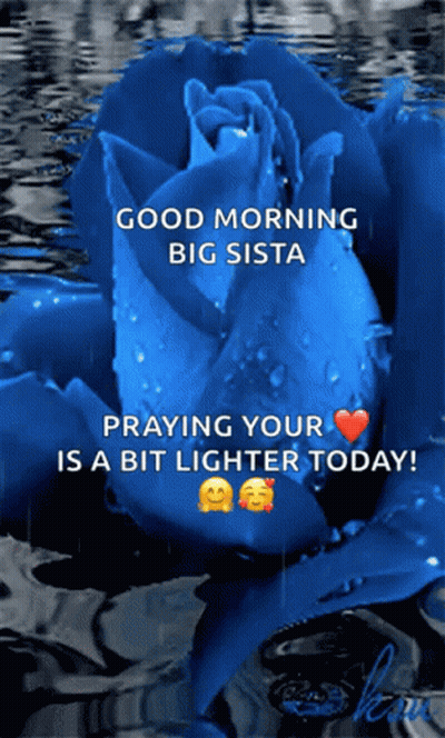 A Blue Rose With The Words Good Morning Big Sista Praying Your Is A Bit Lighter Today GIF