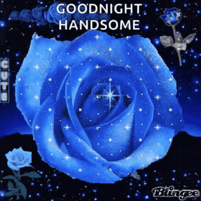 A Blue Rose With The Words " Goodnight Handsome " On It GIF