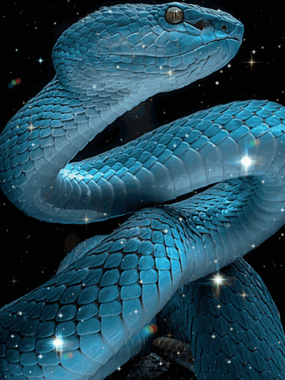 A Blue Snake Is Surrounded By Stars And Has The Letter T On Its Eye GIF