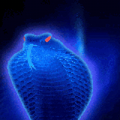 A Blue Snake With Red Eyes Is Surrounded By Blue Light GIF
