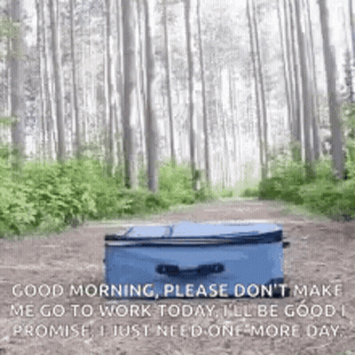 A Blue Suitcase Is Sitting In The Middle Of A Forest . GIF